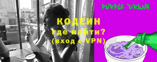индика Каменка
