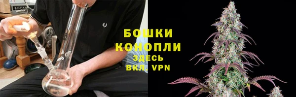 индика Каменка