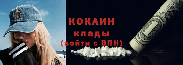 индика Каменка