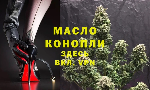 хмурый Инта