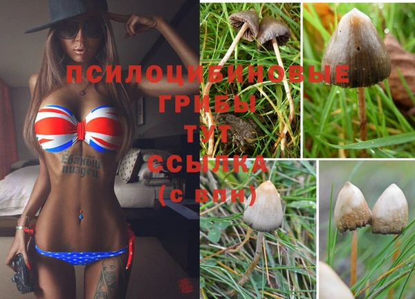 тгк Зеленодольск