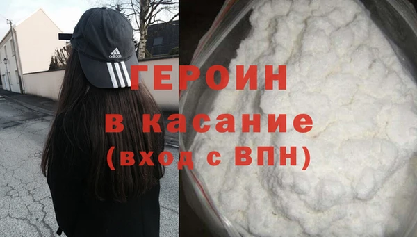 индика Каменка
