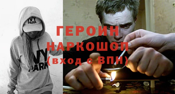 индика Каменка