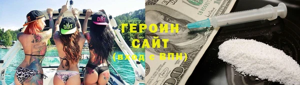 индика Каменка