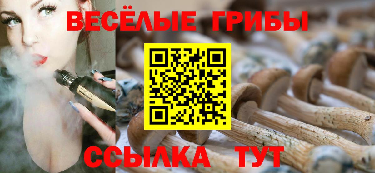 Корсаков  Галлюциногенные грибы мицелий  Вход с VPN 